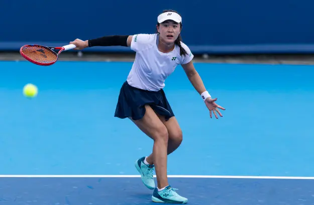 国左手将马, img, 雄卢布列夫