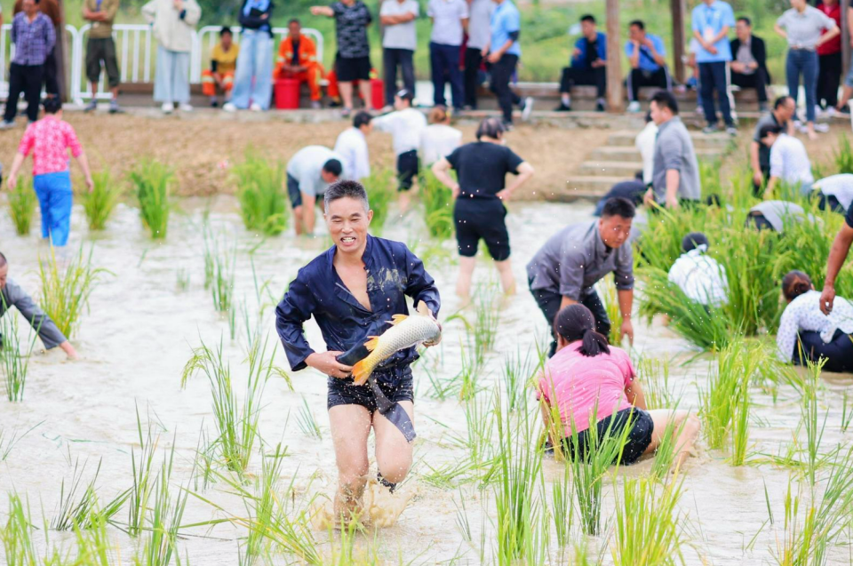 展示乡村振 展示乡村振